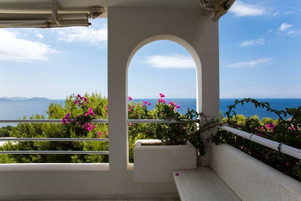 Beautiful, Private Villa By The Sea Ajía Marína Kültér fotó